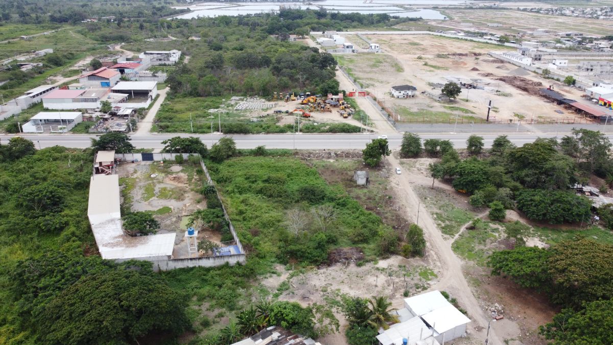 Imagen 4